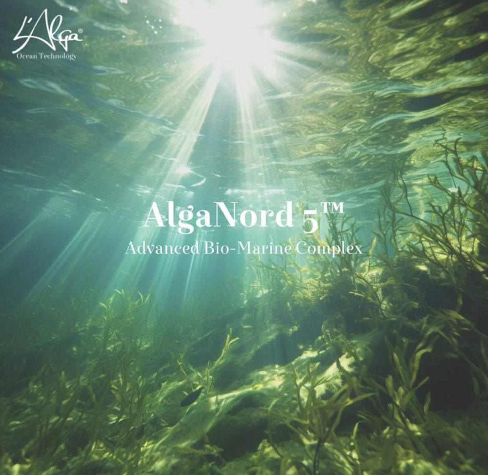 L'Alga