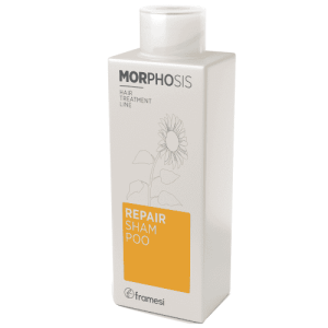 Sampon reparator par deteriorat-Repair Framesi 250 ml