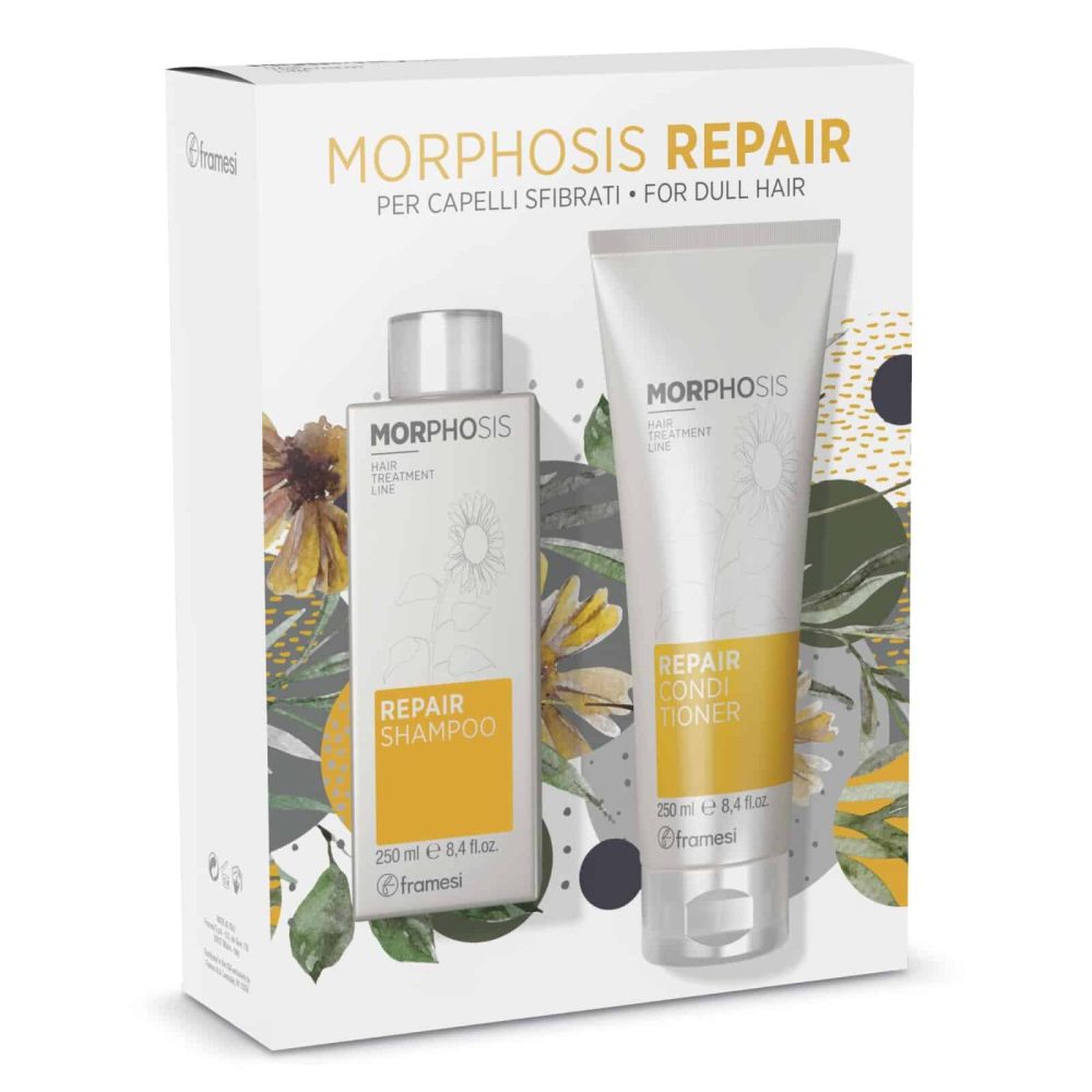 repair set REPAIR FRAMESI SET REPARARE PAR