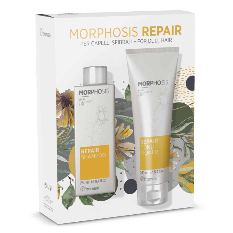 REPAIR FRAMESI SET REPARARE PAR